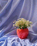 Vase fraise