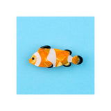 Barrette Poisson clown