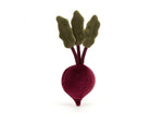 Vivacious vegetable Beetroot - Betterave