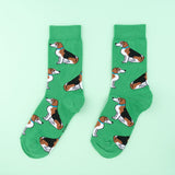 Chaussettes Beagle - Coucou Suzette