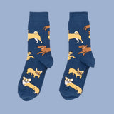 Chaussettes Ouaf - Coucou Suzette