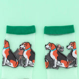Chaussettes Transparentes Beagle