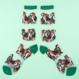 Chaussettes Transparentes Beagle
