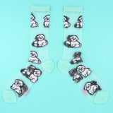 Chaussettes transparentes Bichon