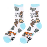 Chaussettes transparentes Miaou