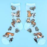 Chaussettes transparentes Miaou