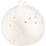 Boule lumineuse à LED - Maison ronde