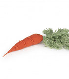 DIY Cathy la carotte