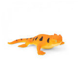 COLOUR CHANGING LIZARDS
