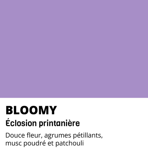 Bougie BLOOMY - Moodie