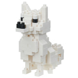 Chien blanc Hokkaido