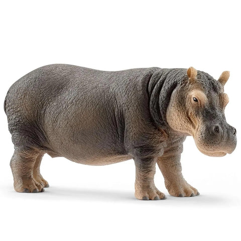 Hippopotame - Figurine