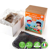 Kit pour enfants - Je cultive mes champignons