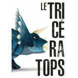 Le Tricératops - Maquette 3D