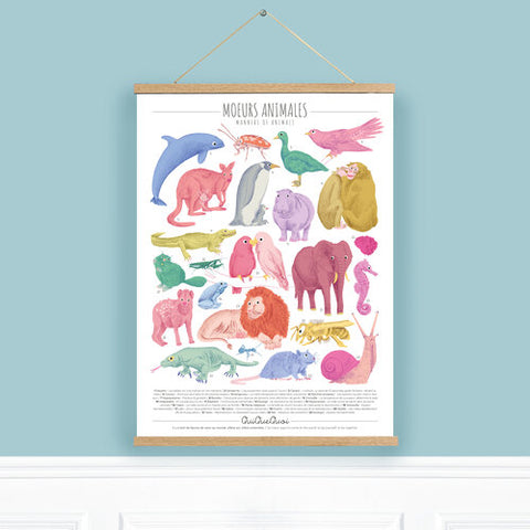 Affiche Moeurs animales- Taille XL