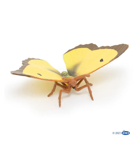 Clouded yellow butterfly - Figurine papillon souci