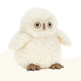 Apollo Owl - Chouette blanche