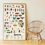 Poster en Stickers - Insectes