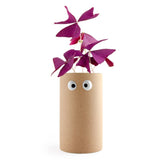 POT YEUX GIRL POWER - OXALIS POURPRE