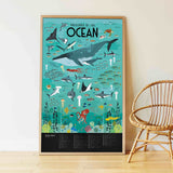 Poster en stickers- Animaux des océans